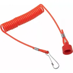 Replacement Cap and Coiled Cord