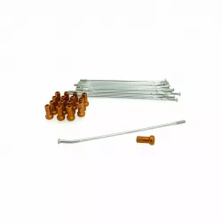 Spoke And Nipple Replacement Kit