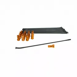 Spoke And Nipple Replacement Kit