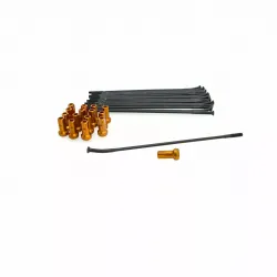 Spoke And Nipple Replacement Kit