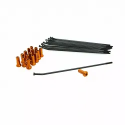 Spoke And Nipple Replacement Kit