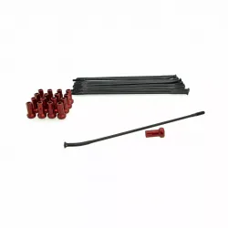 Spoke And Nipple Replacement Kit