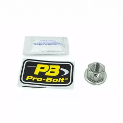 Axle Nut for Swingarm Titan