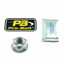 Axle Nut for Swingarm Titan
