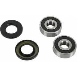 Wheel Bearing and Seal Kit