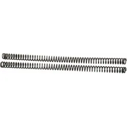 Replacement Fork Springs