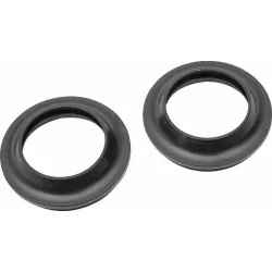 Dust Seal Kit