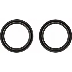 Dust Seal Kit