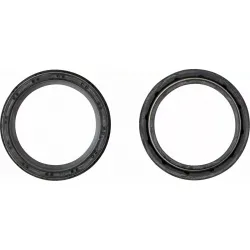 Dust Seal Kit