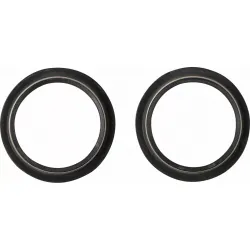 Dust Seal Kit