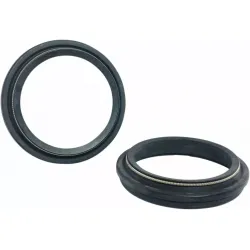 Dust Seal