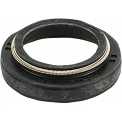 Dust Seals
