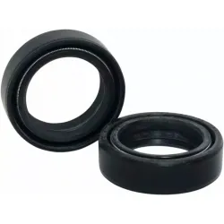 Fork Seals