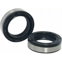 Fork Seals