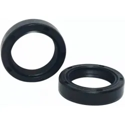 Fork Seals