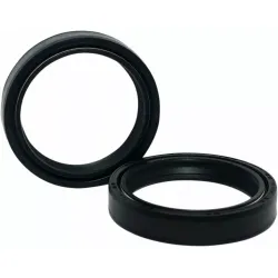 Fork Seals