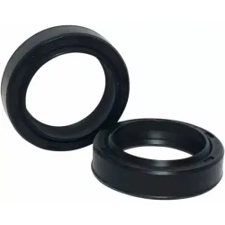 Fork Seals