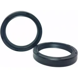Fork Seals