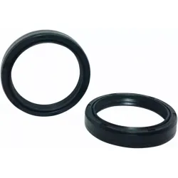 Fork Seals