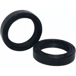 Fork Seals