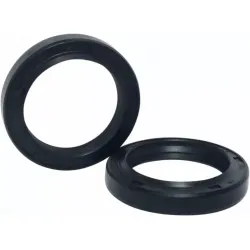 Fork Seals