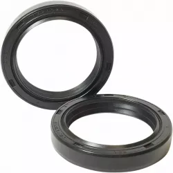 Fork Seals