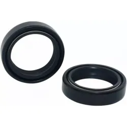Fork Seals