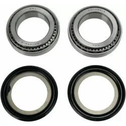 Steering Stem Bearing Kit