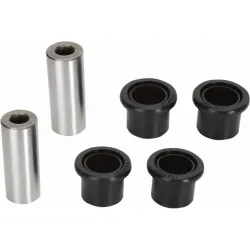 A-Arm Bearing and Seal Kit