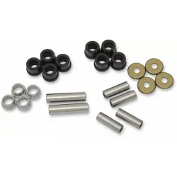 Rear Independent Suspension Linkage Rebuild Kit