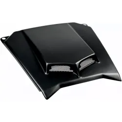 Replacement Hood