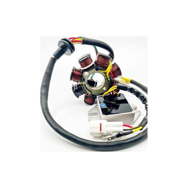 Stator KTM EXC 250/300 08-16 / Husq TE 250/300 14-16 Ricks Motorsport