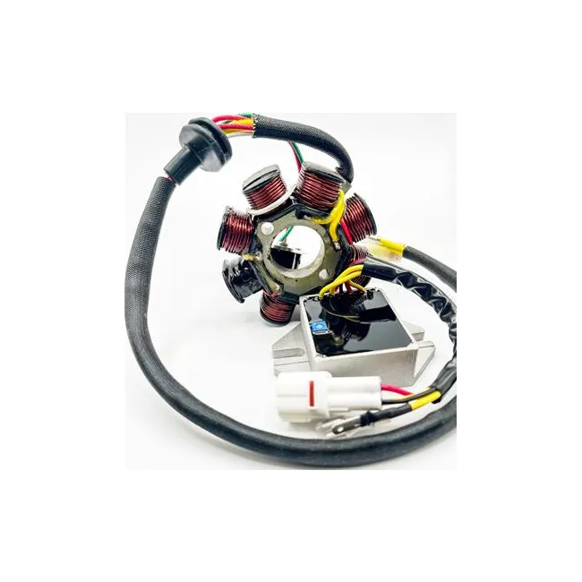 Stator KTM EXC 250/300 08-16 / Husq TE 250/300 14-16 Ricks Motorsport
