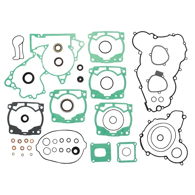 Kit complet garnituri KTM 250/300 17-21 Namura