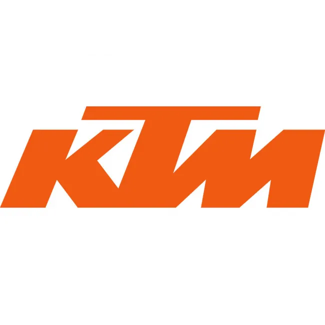 Noise reduction insert Akrapovic KTM 350 SX-F