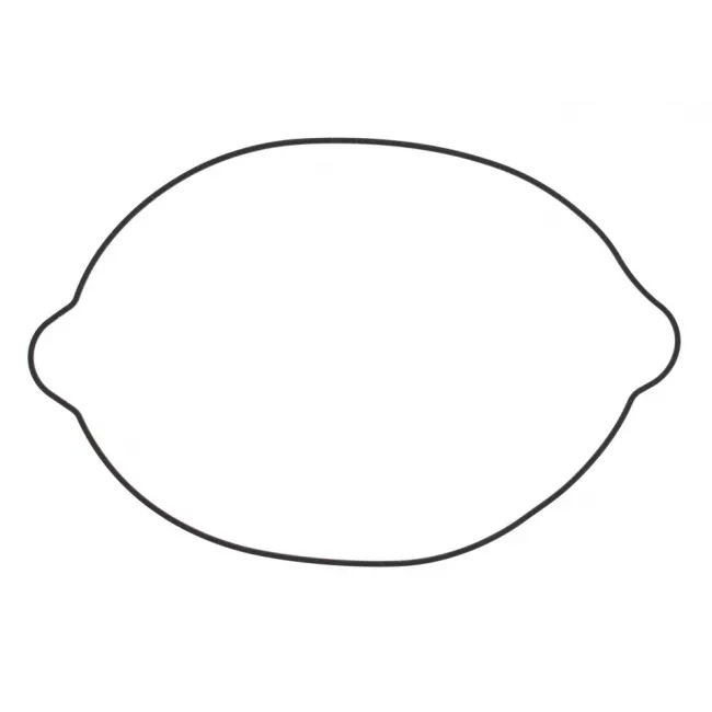 Garnitura capac ambreiaj KTM 250/300 04-16 Vertex