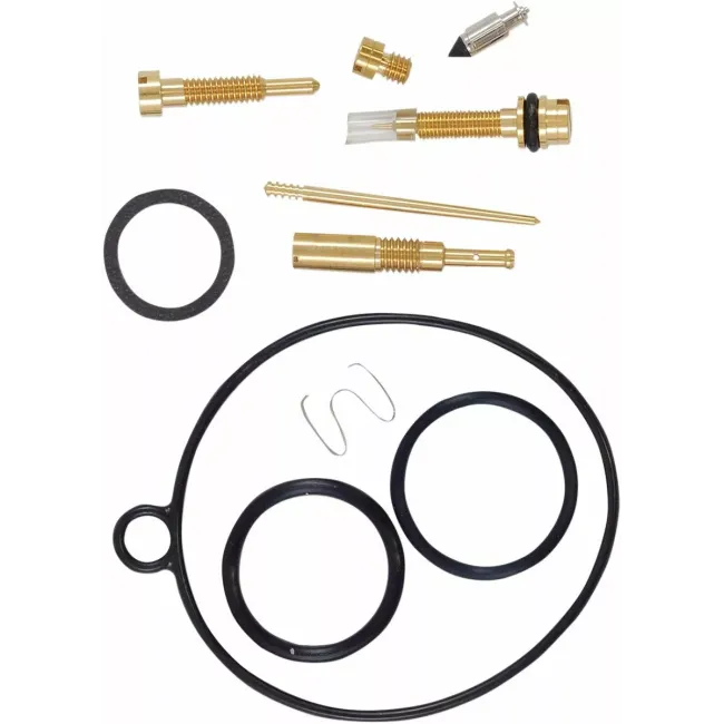 Carburetor Repair Kit