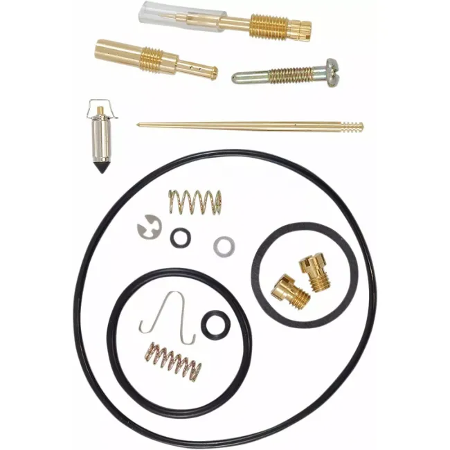 Carburetor Repair Kit