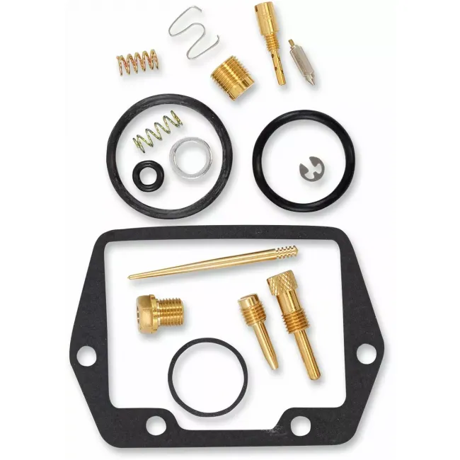 Carburetor Repair Kit