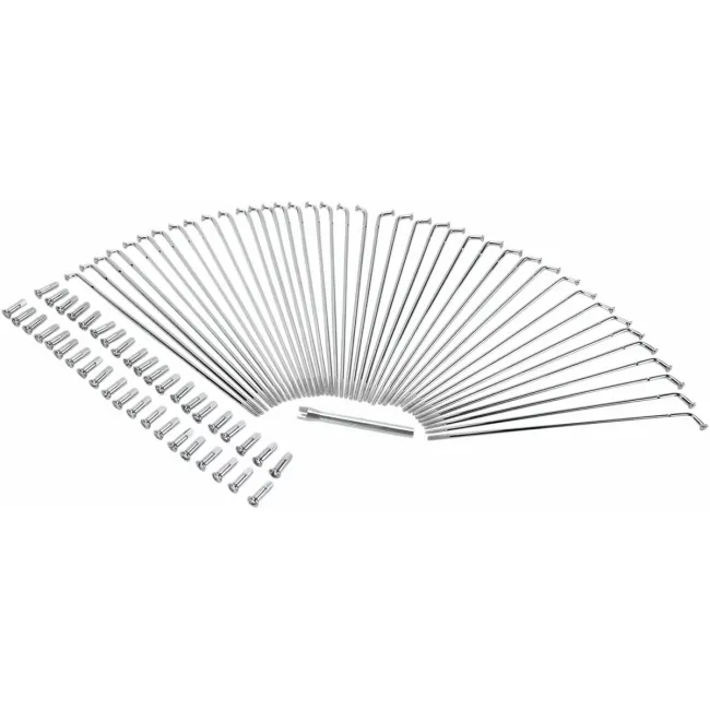 Chrome and Stainless Steel Spoke Set