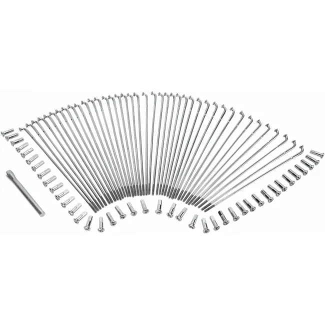 Chrome and Stainless Steel Spoke Set