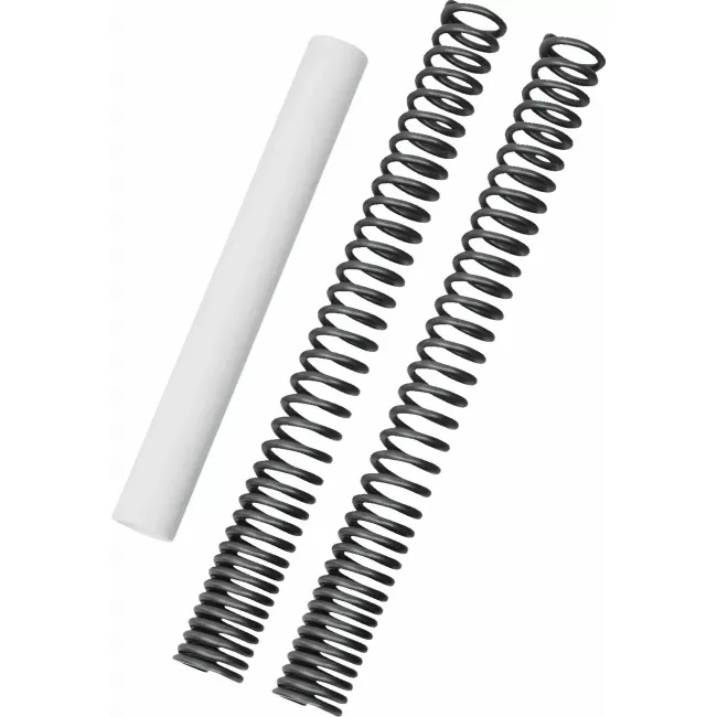 Fork Spring Kit