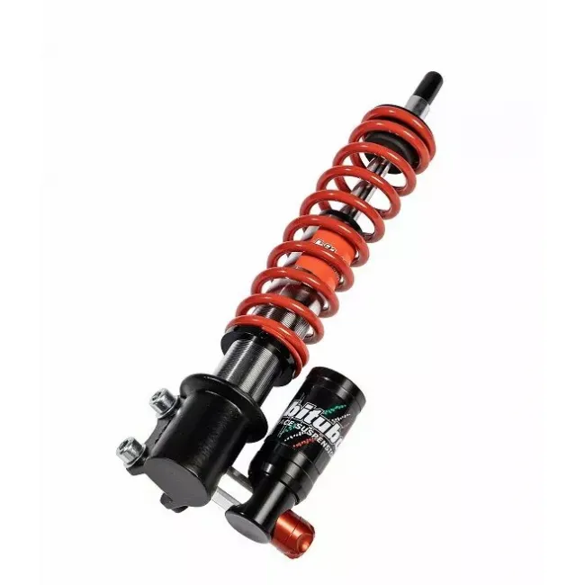 Front Forks Assemblies