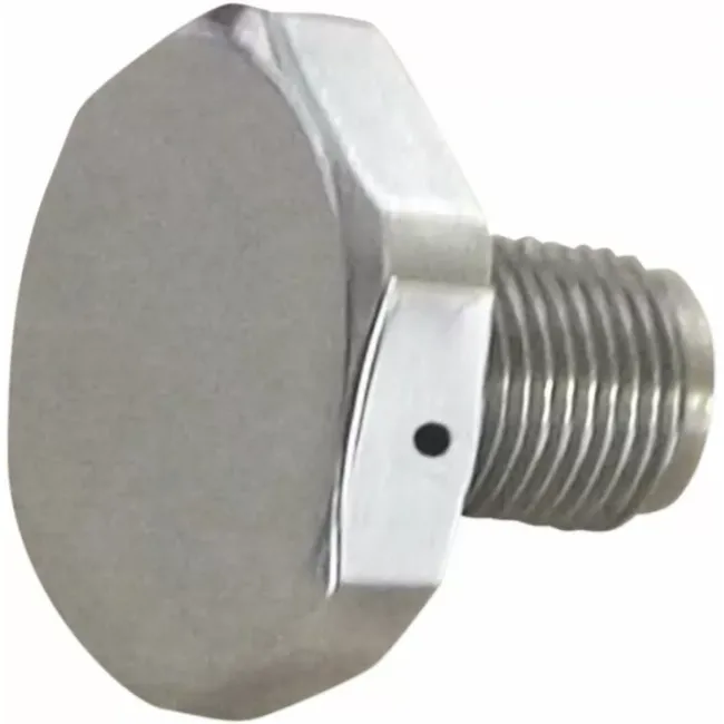 Upper Fork Tube Caps/Bolts