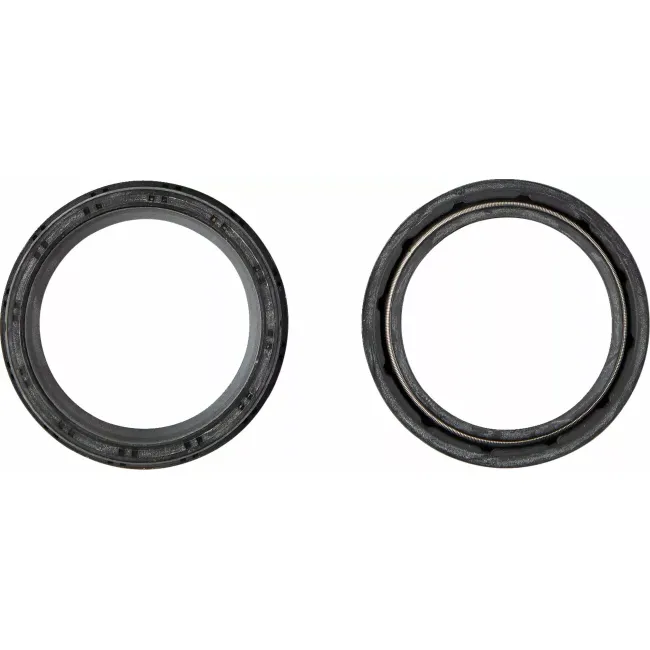 Dust Seal Kit