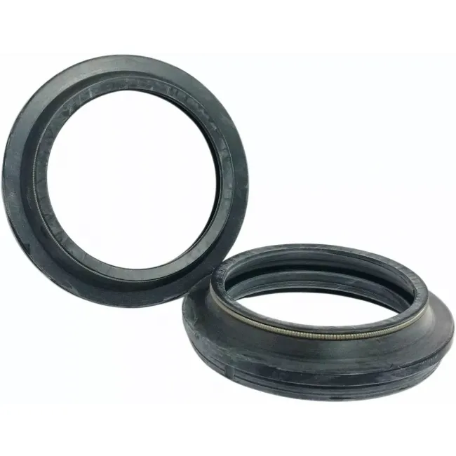 Dust Seal