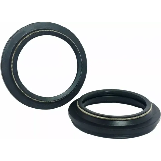 Dust Seal