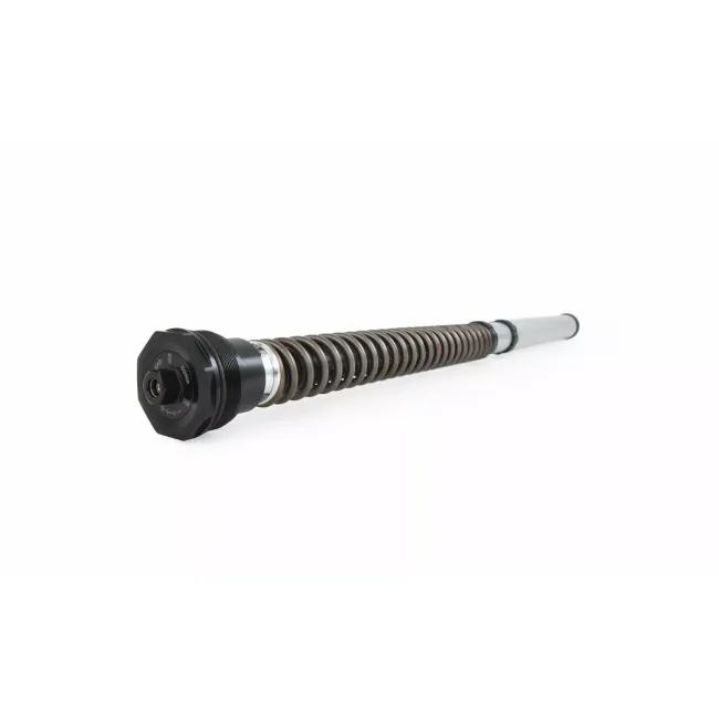 Fork Springs for FKS Cartridge Kit