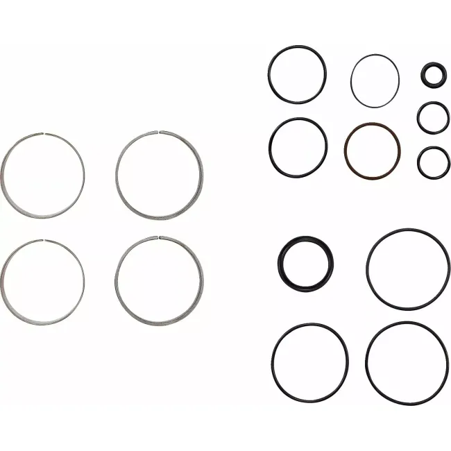 Fork Bushings Kit